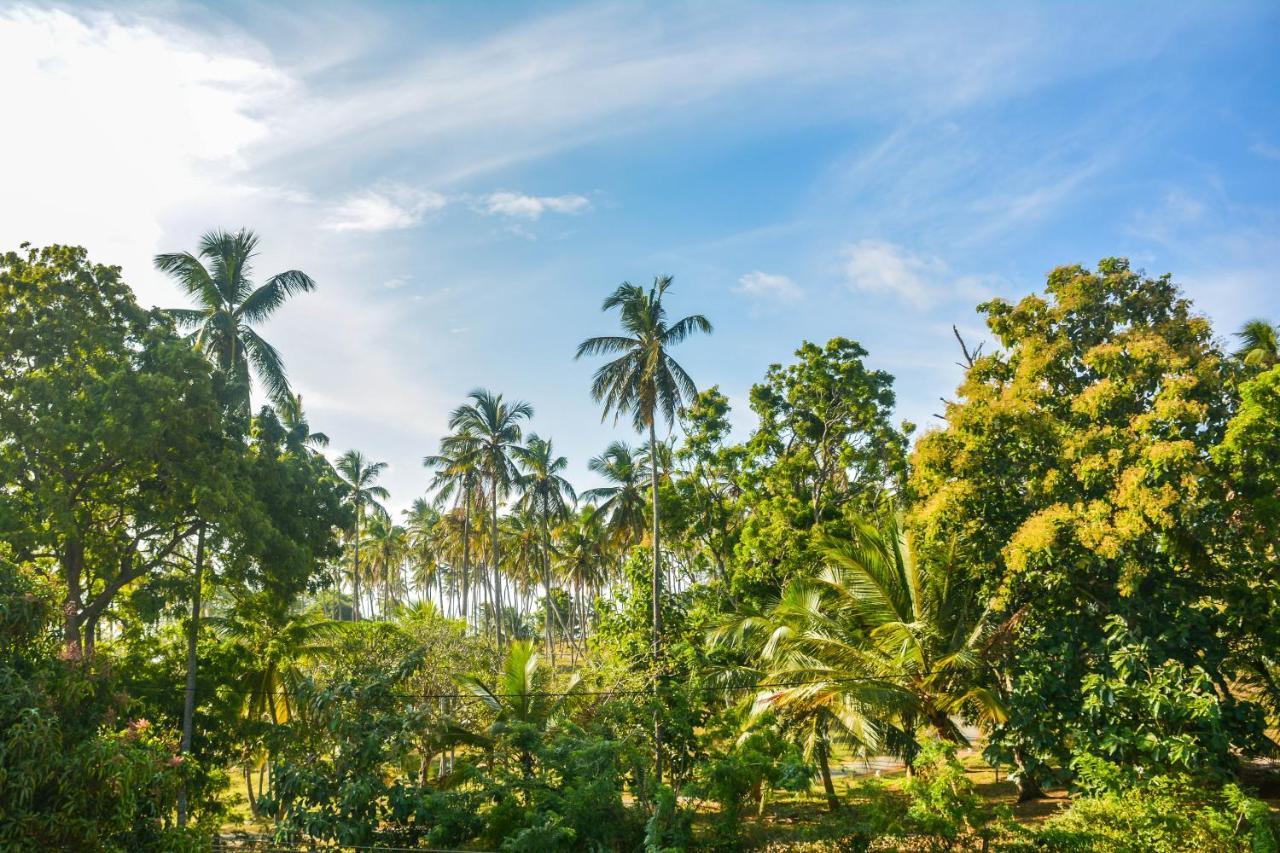 Janu Homestay Tangalle Zewnętrze zdjęcie